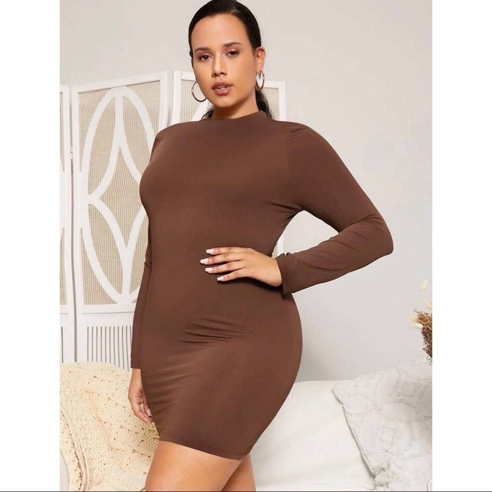 Shein Longsleve Bodycon Dress